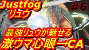 スト5CE ストリートファイター5　Justfog リュウ 06