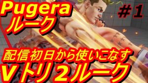 スト5CE ストリートファイター5　Pugera ぷげら ルーク 01
