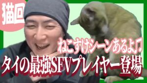 【猫回】タイのストリートファイターV最強プレイヤー登場!!【雑談】