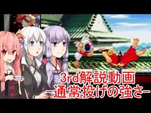 【格ゲー初心者向け】ストリートファイターⅢ 3rd STRIKE 解説動画 part.11