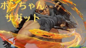 スト5CE ストリートファイター5 bonchan ボンちゃん sagat サガット 13
