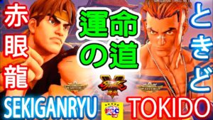 ストリートファイター５  💥赤眼龍「リュウ」対 ときど「ルーク」運命の道 ｜Sekiganryu「Ryu」vs  Tokido「Luke」💥 SFV 🤜FGC🤛