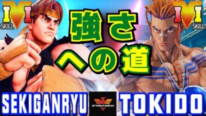 スト５✨赤眼龍 [リュウ] Vs ときど [ルーク] 強さへの道 | SFV CE✨sekiganryu [Ryu] Vs Tokido [Luke]✨ストリートファイター５