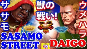 ストリートファイター５💥 ササモ 「バイソン」対 ウメハラ「ガイル」獣の戦い!｜SASAMO 「Balrog」 vs Daigo「Guile」 💥Street Fighter V 🤜FGC🤛