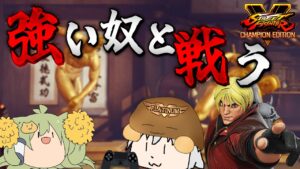 こちが今一番ハマっているゲーム【ストリートファイターV】