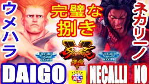 ストリートファイター５💥ウメハラ「ガイル」対 ネカリーノ「ネカリ」完璧な捌き｜Daigo「Guile」vs Necalli_no 「Necalli」💥SFV 🤜FGC🤛