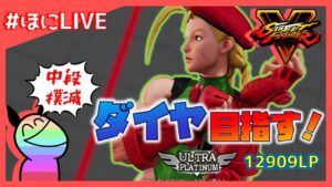 わしら、強い技こするだけやから【ストリートファイターV】