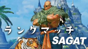 steam版でランクマとか［カプコンファイティングコレクション ハイパーストリートファイターⅡ］