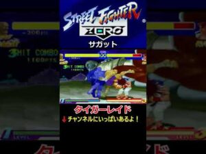【ストリートファイターZERO】【タイガーキャノン】【タイガージェノサイド】【タイガーレイド】サガット