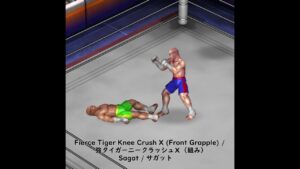 FierceTigerKneeCrushX StreetFighter Sagat FirePro 強タイガー二ークラッシュⅩ ストリートファイター サガット ファイプロ