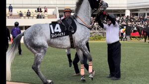 丸田騎手が乗る直前に一瞬ストリートファイターしそうになるストリートピアノちゃん🐴🎹🎵