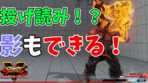 対戦日記【ストリートファイターV】#142