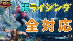 対戦日記【ストリートファイターV】#145