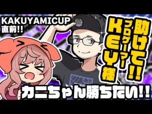 【ストリートファイター6】#KAKUYAMICUP #KtRチームwin 練習配信!!【Vtuber/星乃カニ】